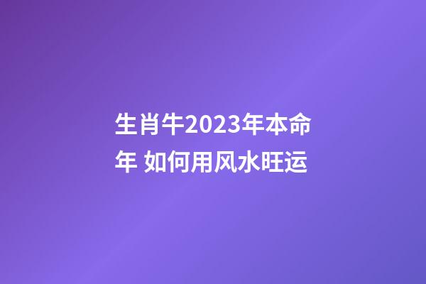 生肖牛2023年本命年 如何用风水旺运